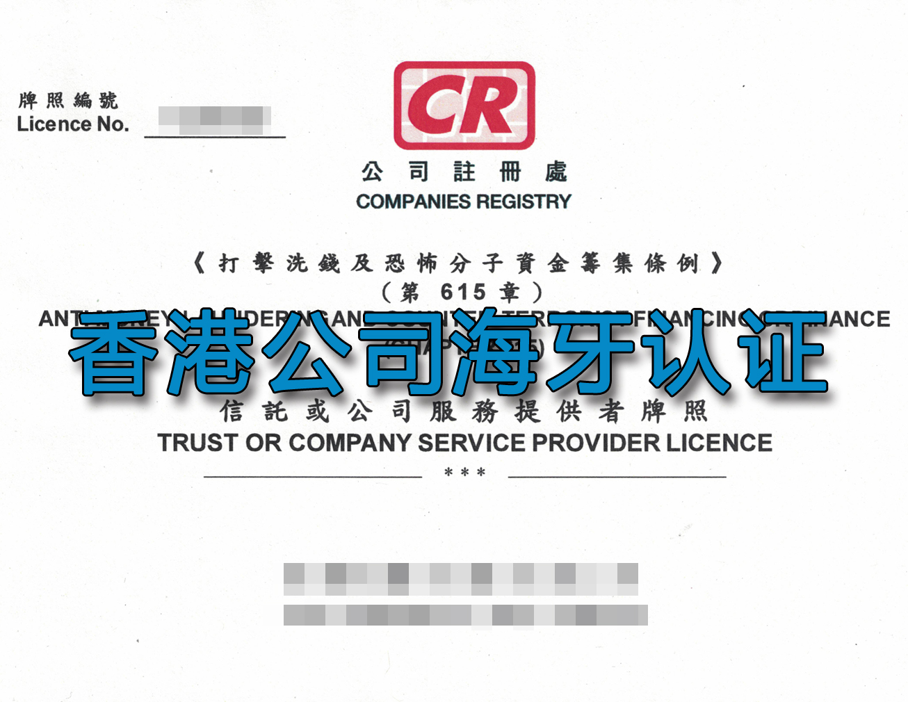 香港公司海牙认证