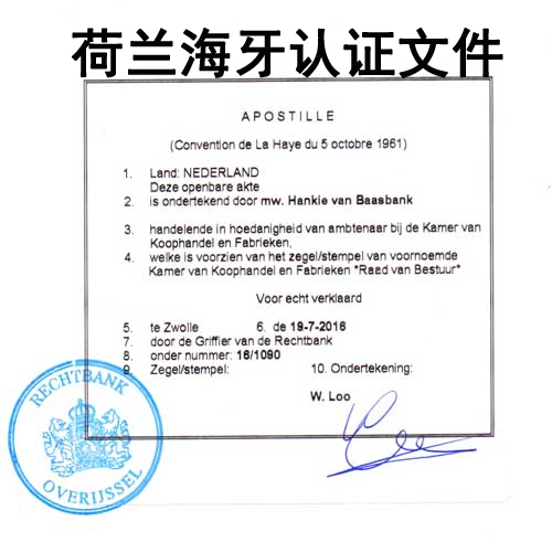 注册荷兰公司需要海牙认证的文件