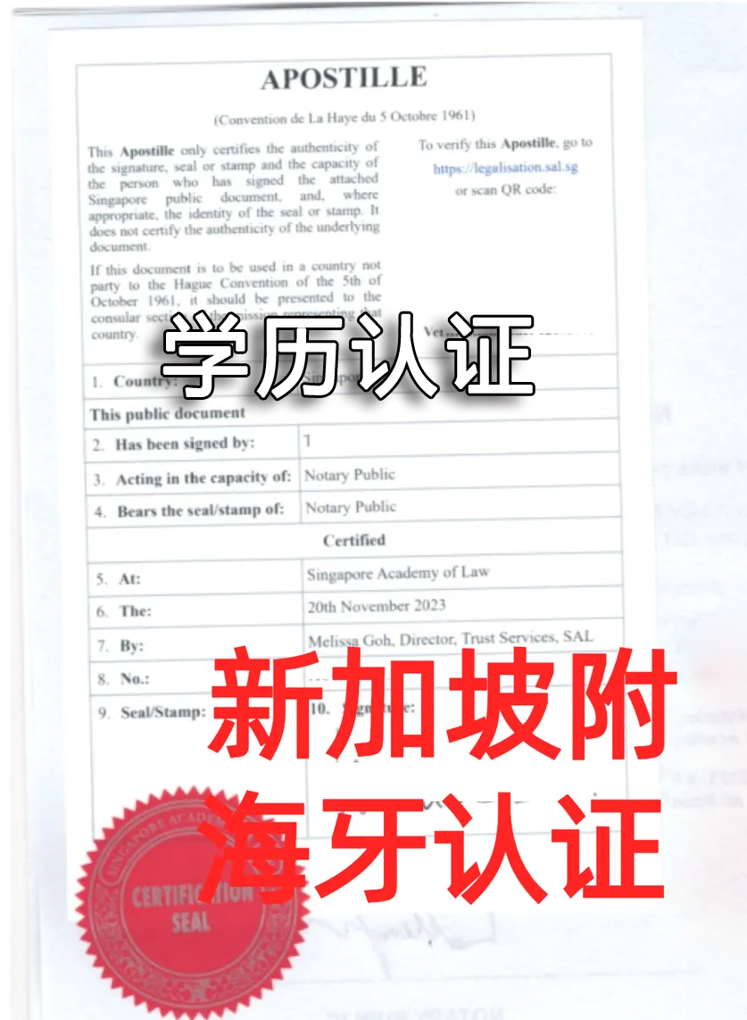 新加坡学历海牙认证apostille