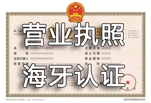 营业执照注册证书海牙认证