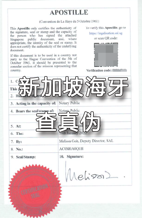 新加坡海牙认证文件查真伪