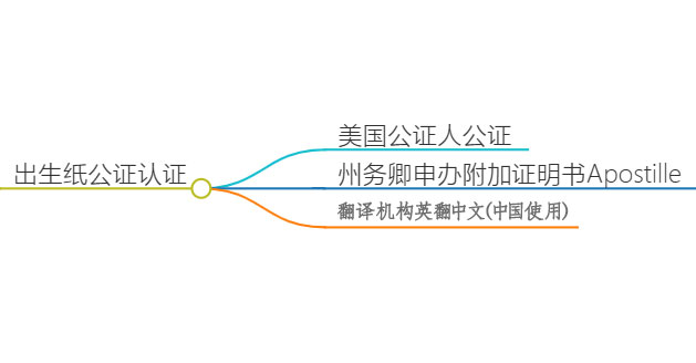美国出生纸办理流程