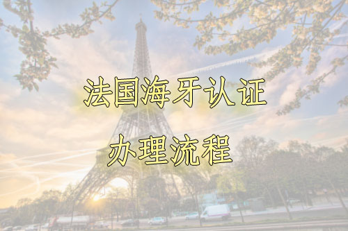 法国海牙认证办理流程