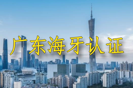 广东在哪办理海牙认证