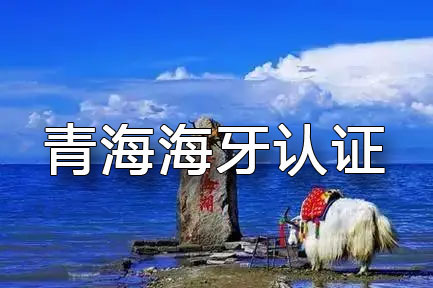 青海如何办理海牙认证