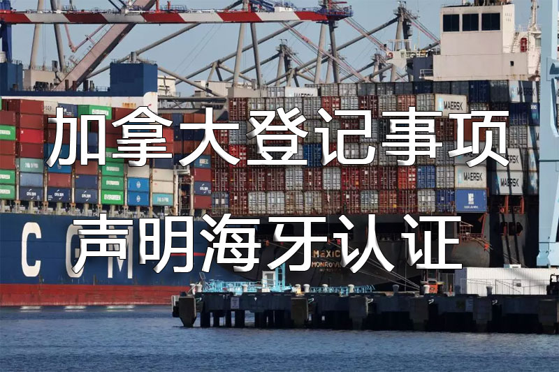 加拿大登记事项声明海牙认证