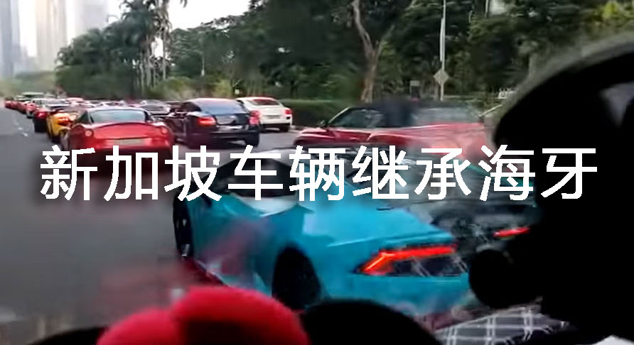 新加坡做车辆继承公证海牙认证