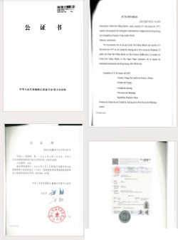 涉外公证员与涉外公证书