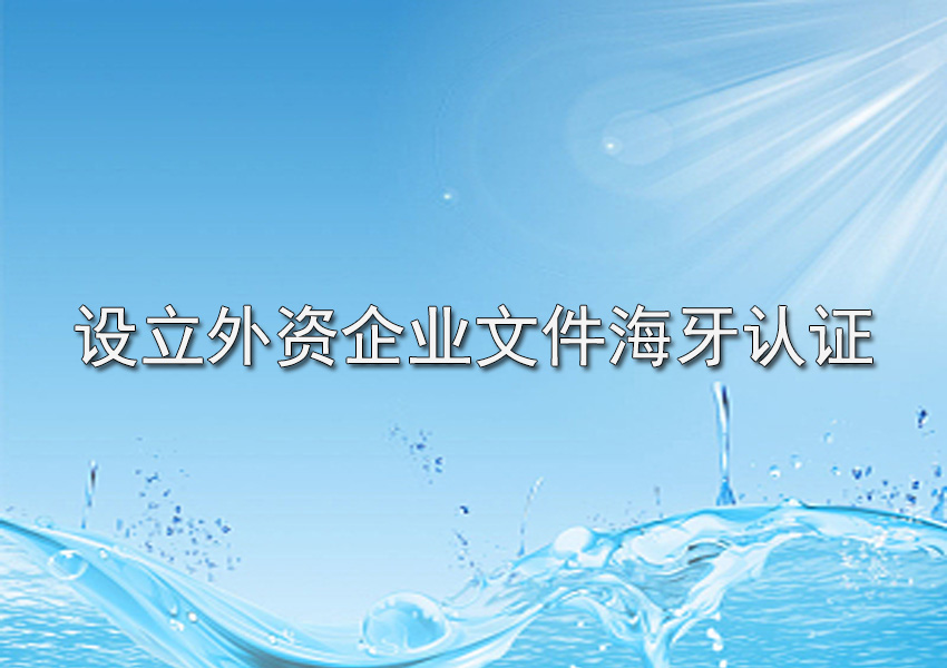 设立外资企业文件海牙认证怎么办理