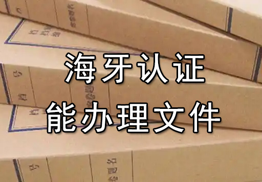海牙认证能办理文件