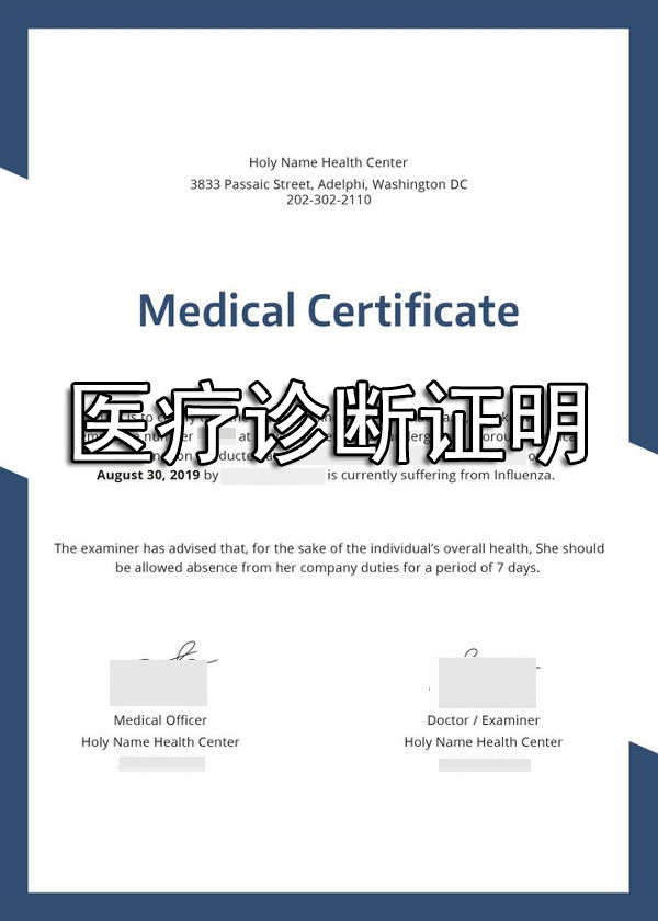 美国病例医疗记录证明海牙认证
