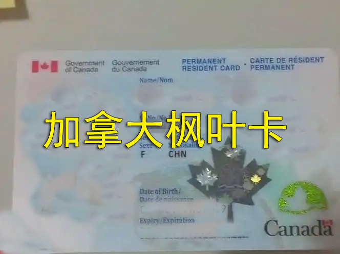 加拿大枫叶卡海牙认证