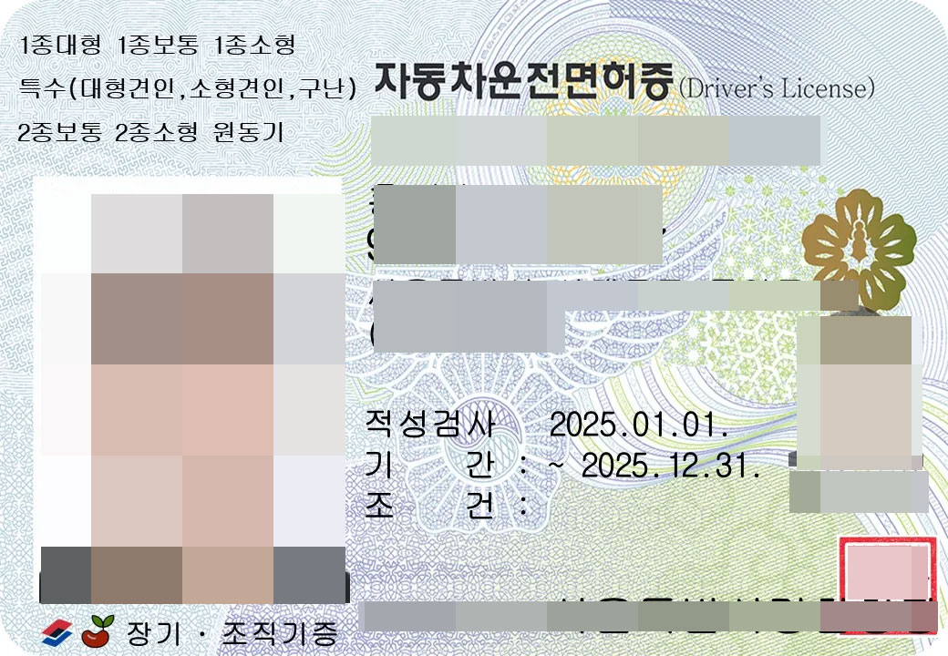 韩国驾驶证