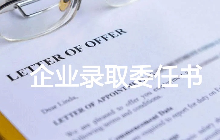 企业录取委派任命书