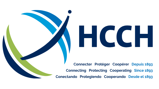 国外的海牙认证如何在中国使用